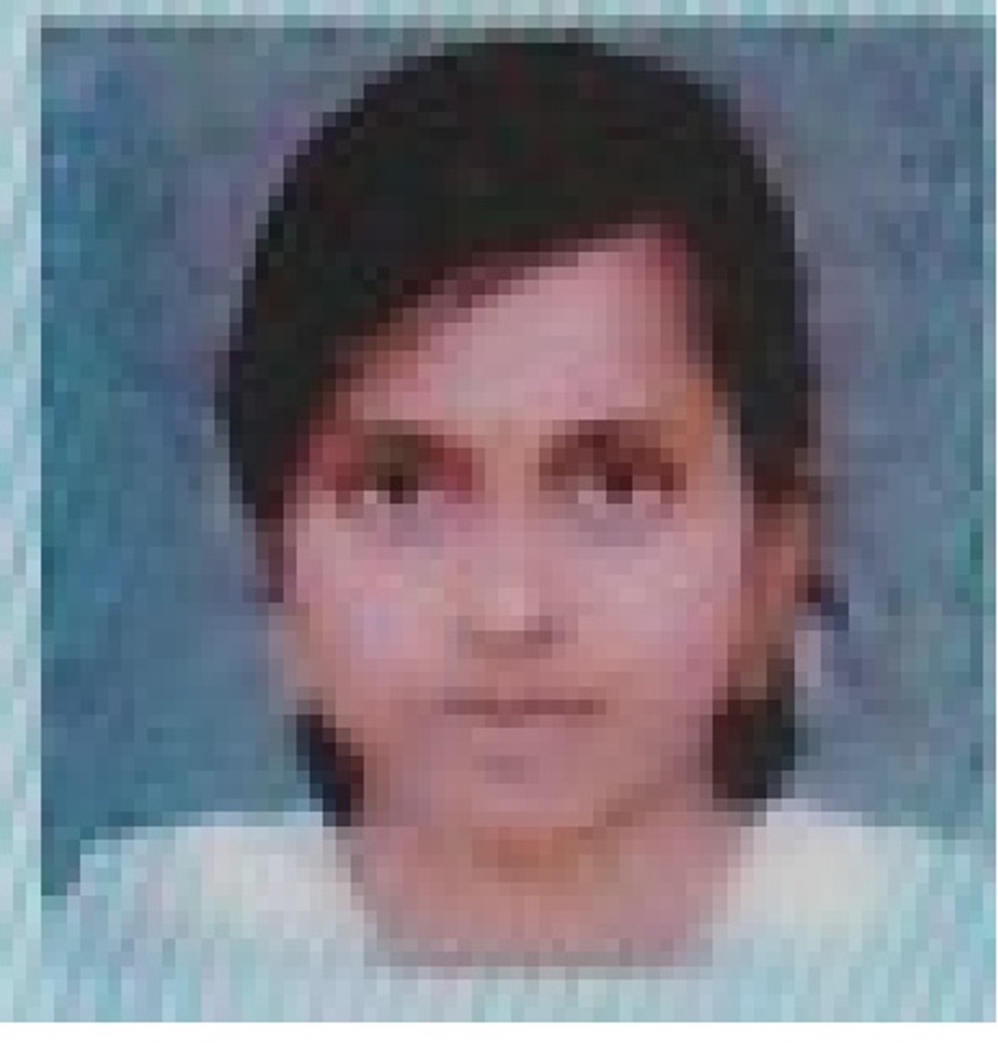 Director's Image